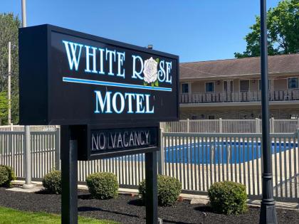 White Rose motel